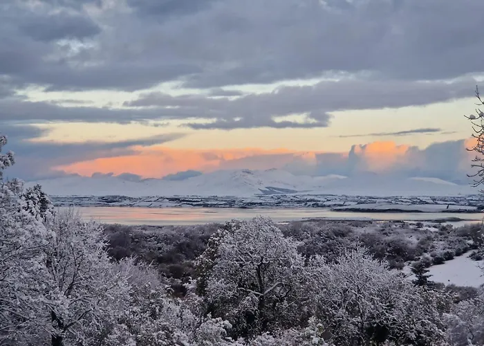 Cabañas en Westport