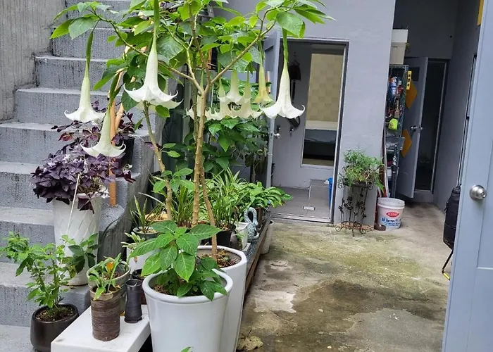 Vacation Rentals in Busan